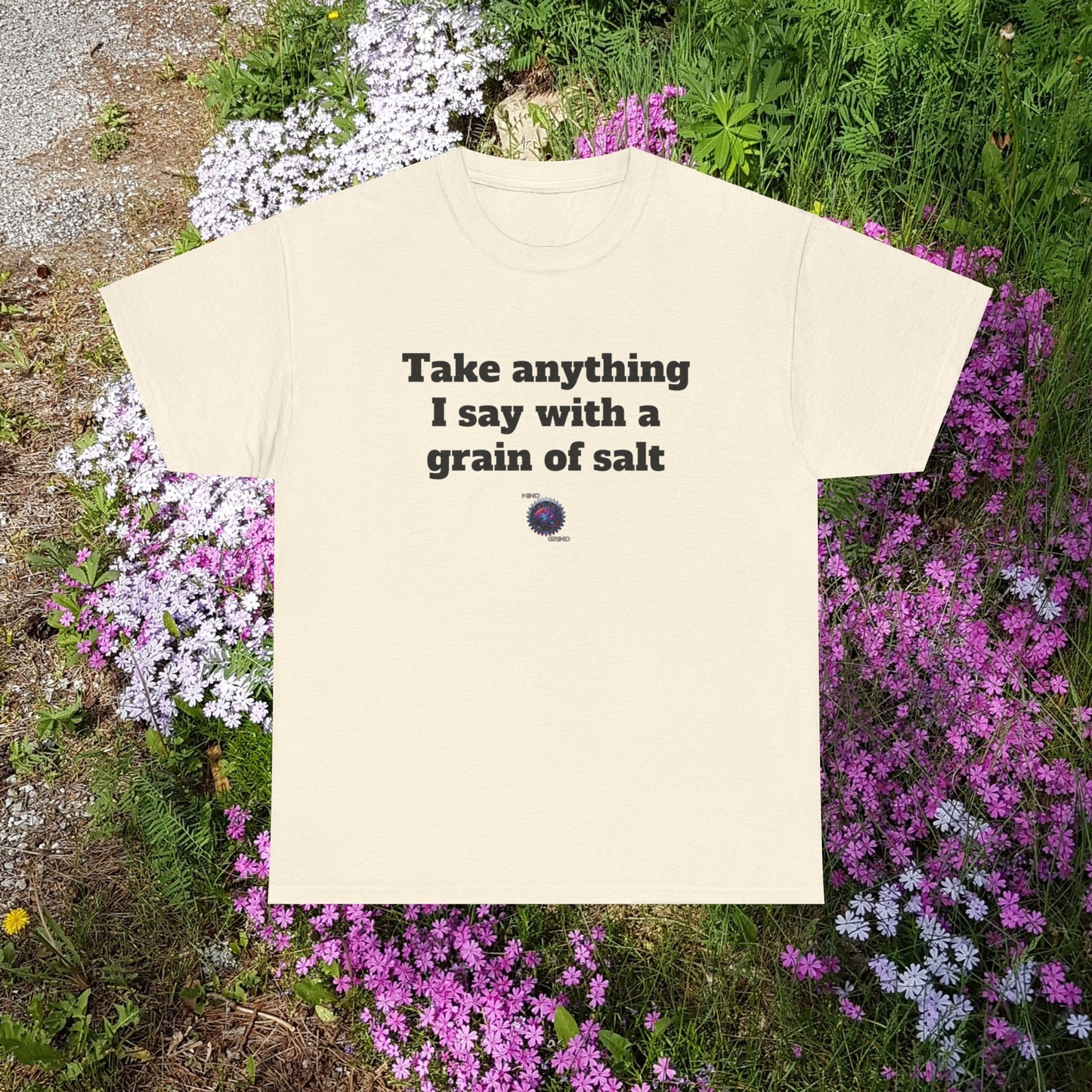 Take anything I say with a grain of salt - Unisex Heavy Cotton Tee - Small Logo