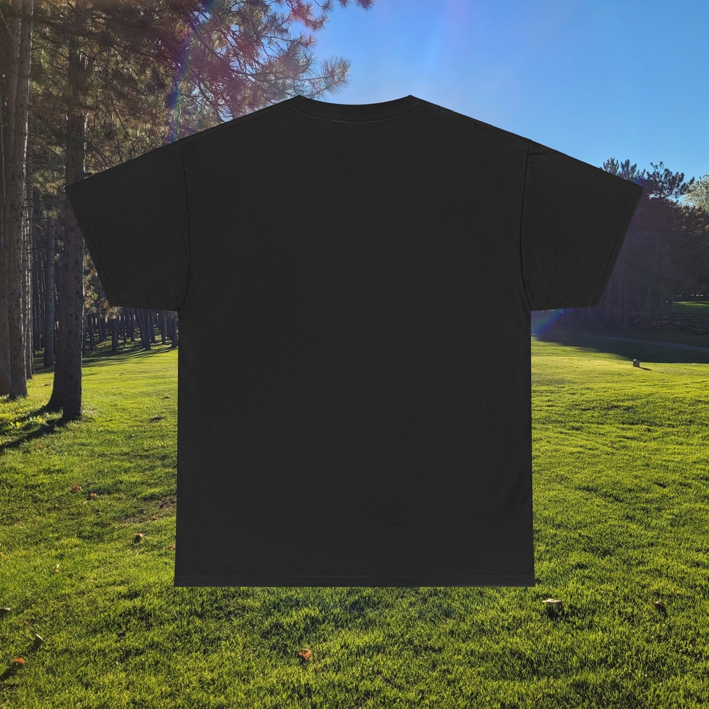 Devil's Advocate Award - Unisex Heavy Cotton Tee - Small Logo