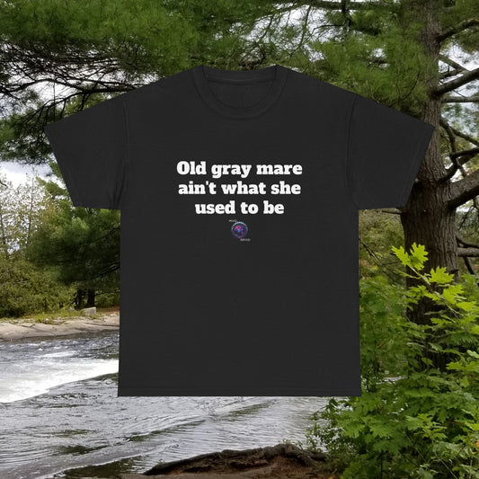 Old gray mare ain't what she used to be - Unisex Heavy Cotton Tee - Small Logo