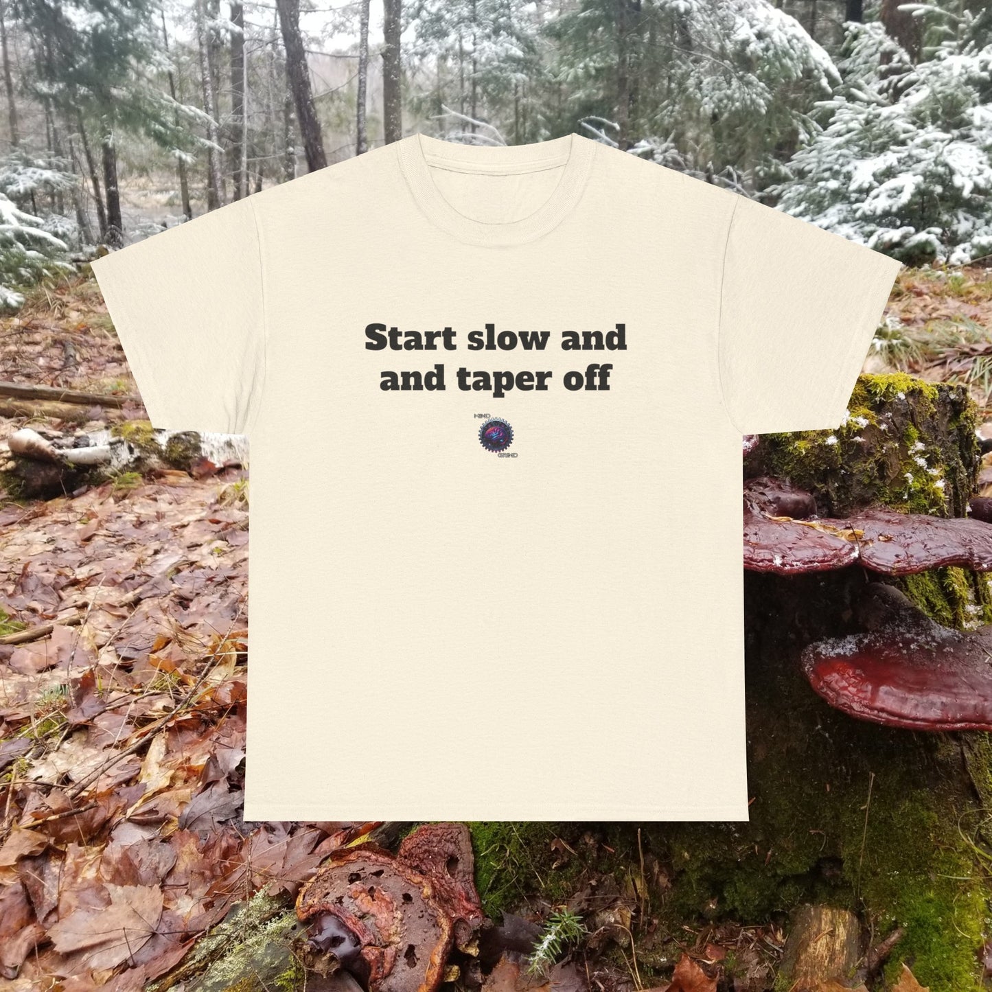 Start slow and taper off - Unisex Heavy Cotton Tee - Small Logo