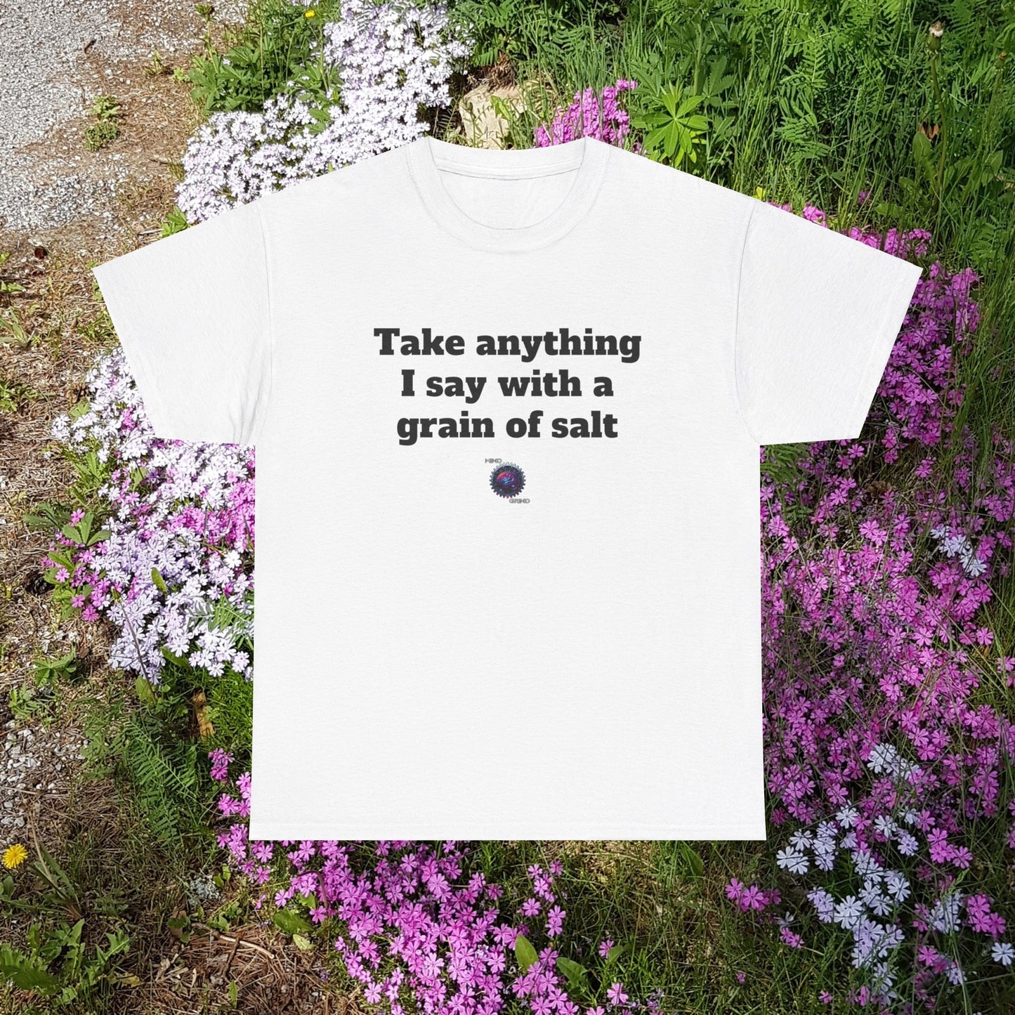 Take anything I say with a grain of salt - Unisex Heavy Cotton Tee - Small Logo