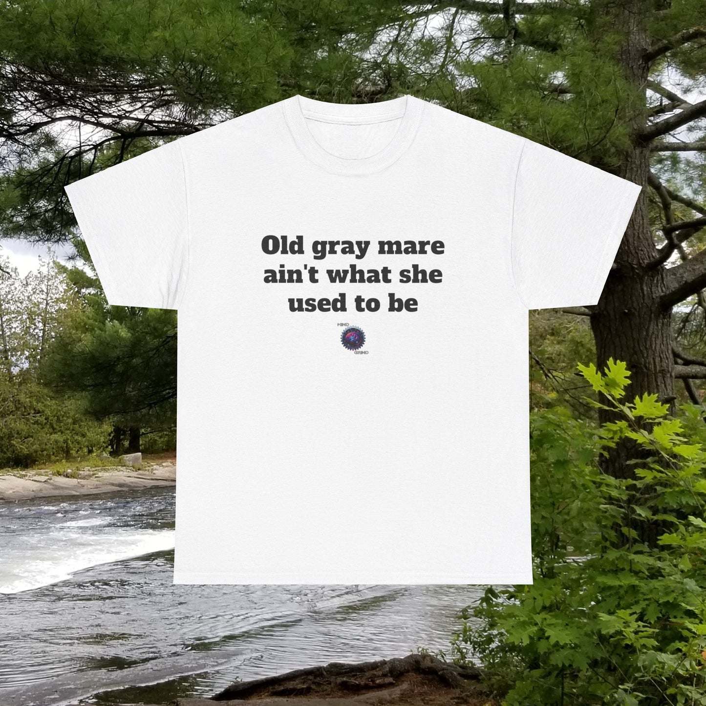 Old gray mare ain't what she used to be - Unisex Heavy Cotton Tee - Small Logo