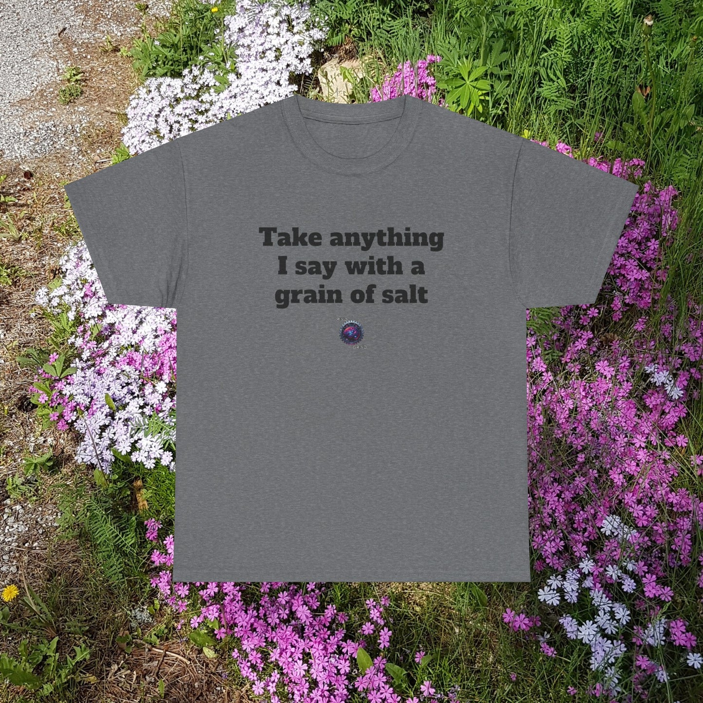 Take anything I say with a grain of salt - Unisex Heavy Cotton Tee - Small Logo