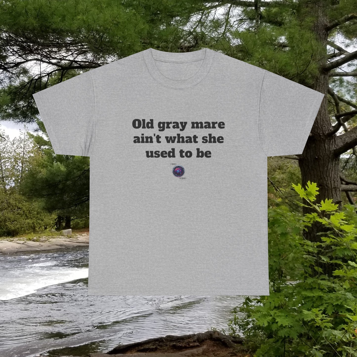 Old gray mare ain't what she used to be - Unisex Heavy Cotton Tee - Small Logo