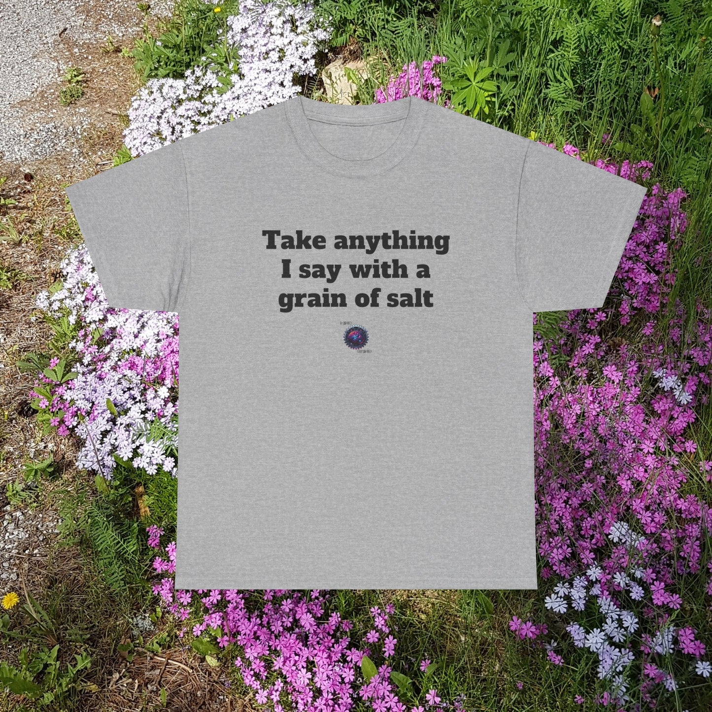 Take anything I say with a grain of salt - Unisex Heavy Cotton Tee - Small Logo