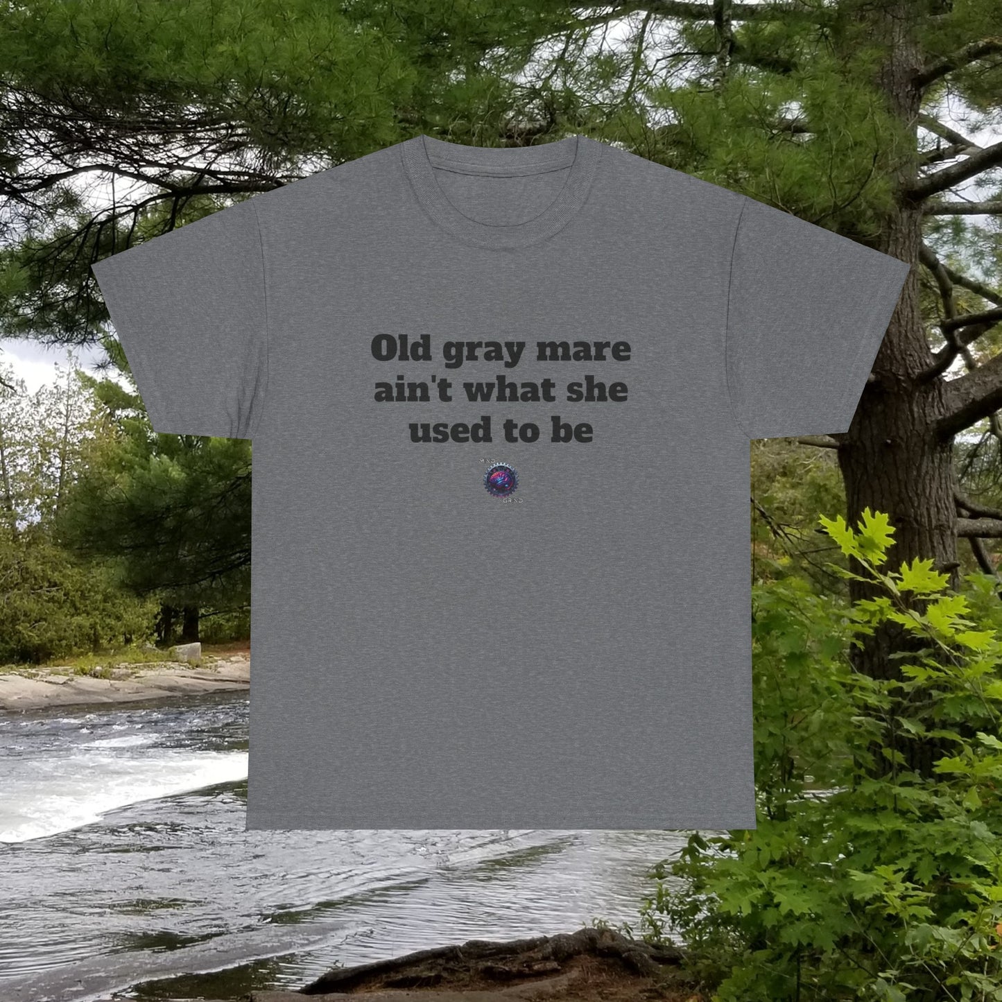 Old gray mare ain't what she used to be - Unisex Heavy Cotton Tee - Small Logo